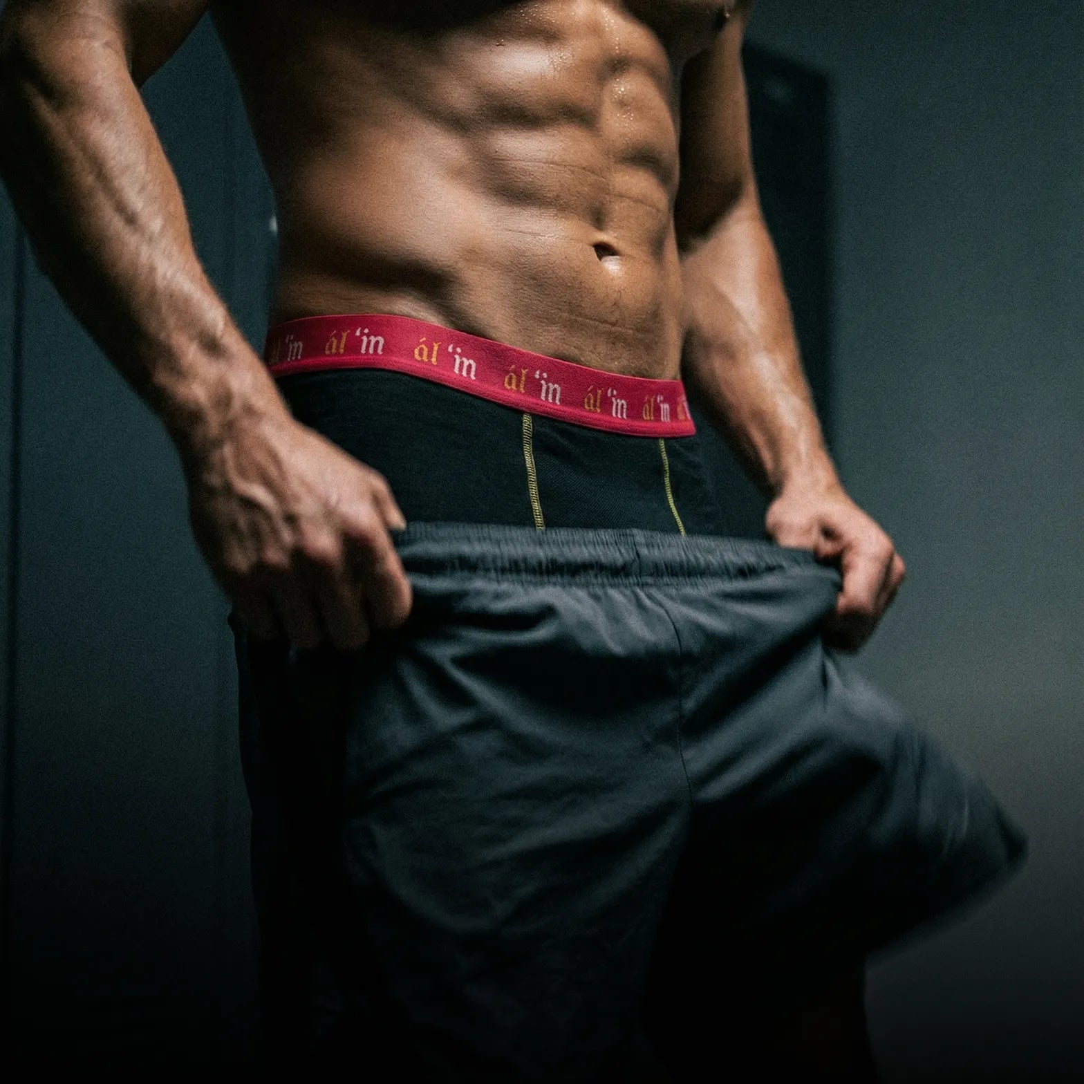 Performance Cotton Boxer Briefs - 6 Pack