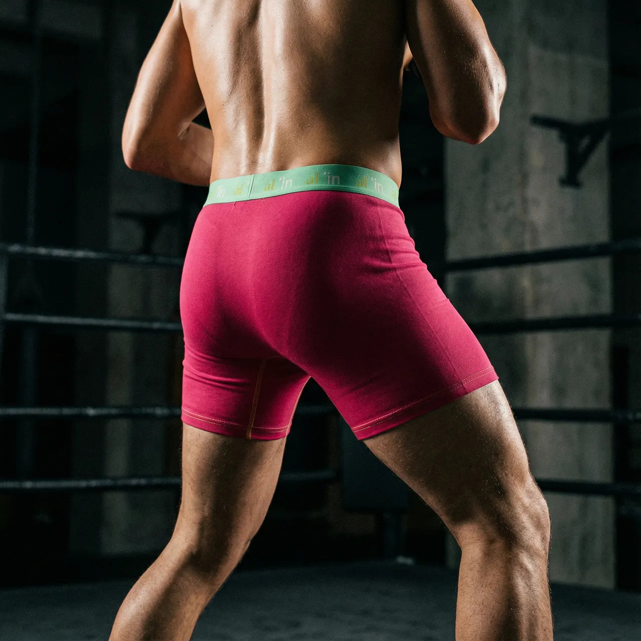 Performance Cotton Boxer Briefs